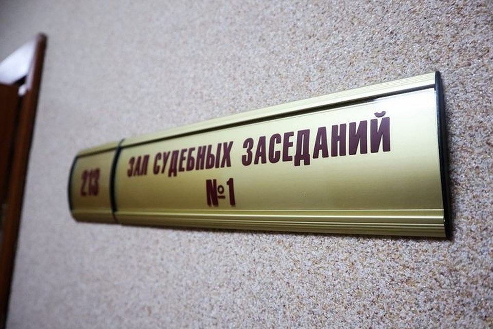 Суд учел обстоятельства происшествия, тяжесть вреда, а также имущественное положение хозяйки собаки.