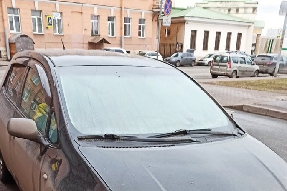 Петербуржцы бьют тревогу из-за запертых собак в машине