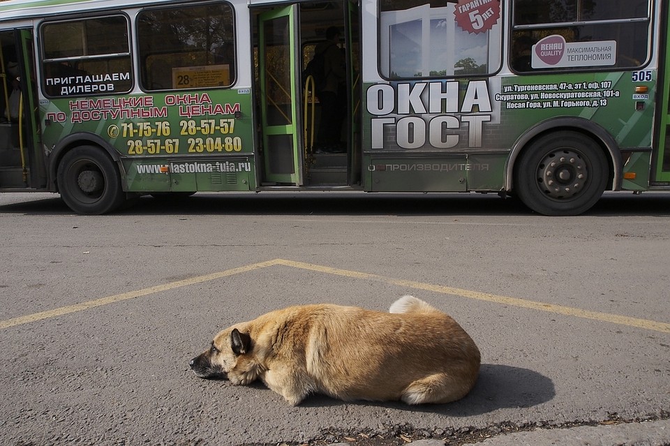 Фото: Архив "КП"