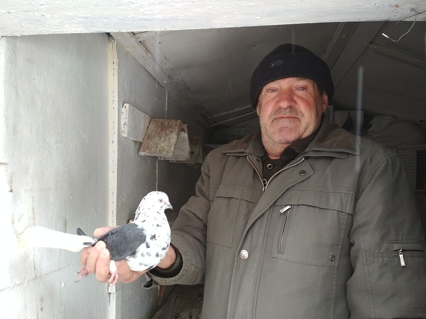Птиц Иван Николаевич Никульшин выращивает всю жизнь - почти 69 лет.