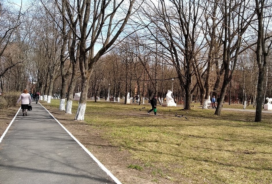 Температура: ночью 0…- 5 ºС, днем +1….+6 ºС