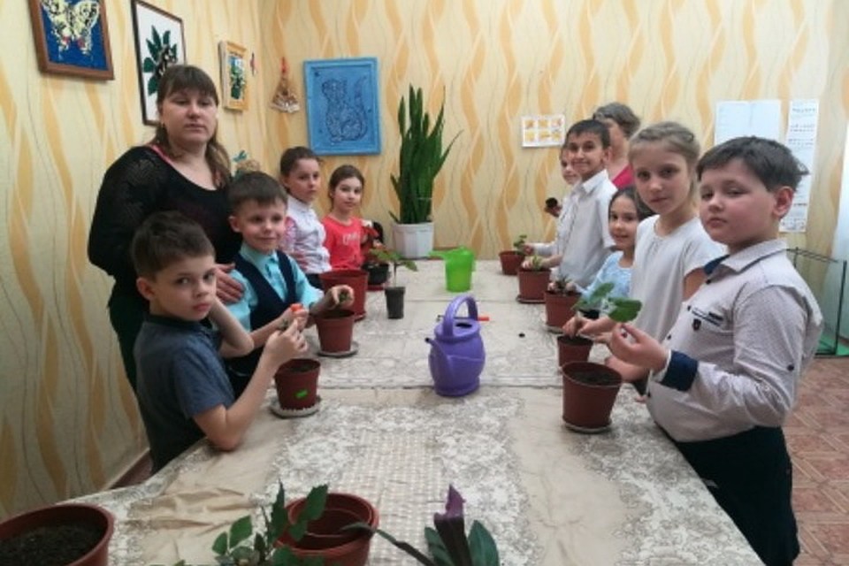 Занятия приостановлены пока лишь на неделю, но вынужденный карантин может быть и продлен. Фото: minobr.su