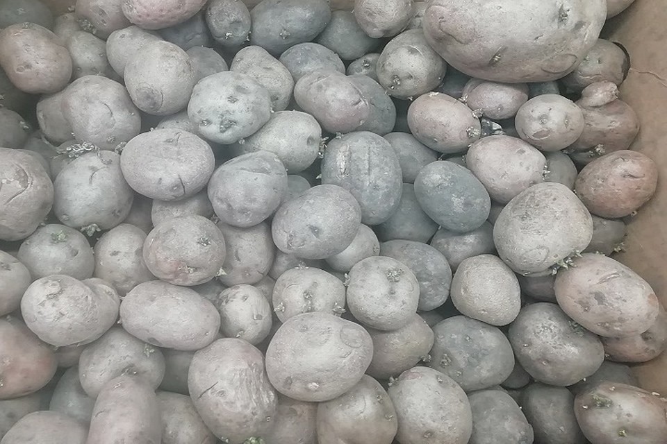 Сургутянам за кражу продуктов грозит до 10 лет тюрьмы. Фото: Савинов Руслан.