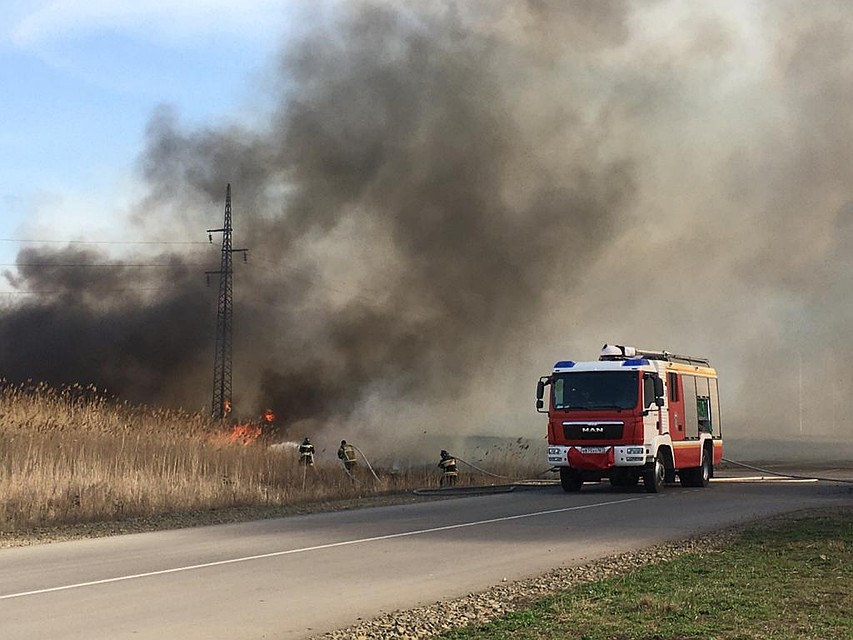Площадь пожара составила 700 квадратных метров. Фото: ГУ МЧС России по РО.