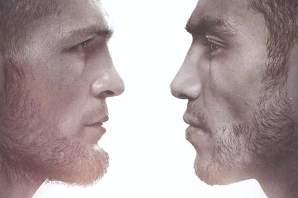 Бой Хабиб — Фергюсон не состоится. Фото: ufc.com