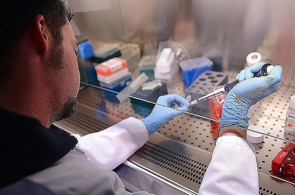 Сотрудники Федерального медико-биологическое агентства России разработали схему лечения тяжелой коронавирусной пневмонии