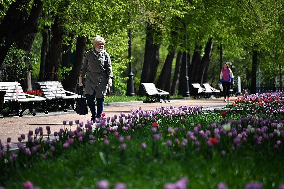 В Москве ожидаются прохладные выходные