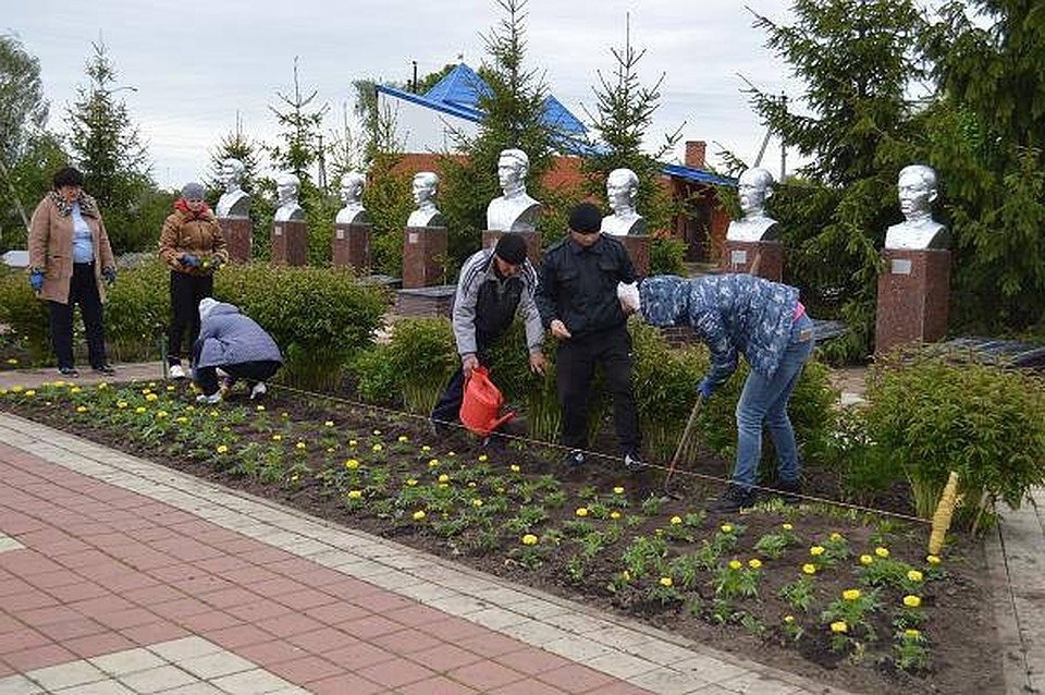 140 тысяч цветов расцветут в Краснояружском районе Белгородчины. Фото пресс-службы администрации Краснояружского района
