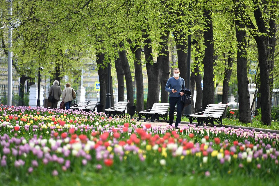 За 1 квартал 2020 года в России зафиксировано больше 40 случаев высокого загрязнения воздуха. Но реальность не так страшна