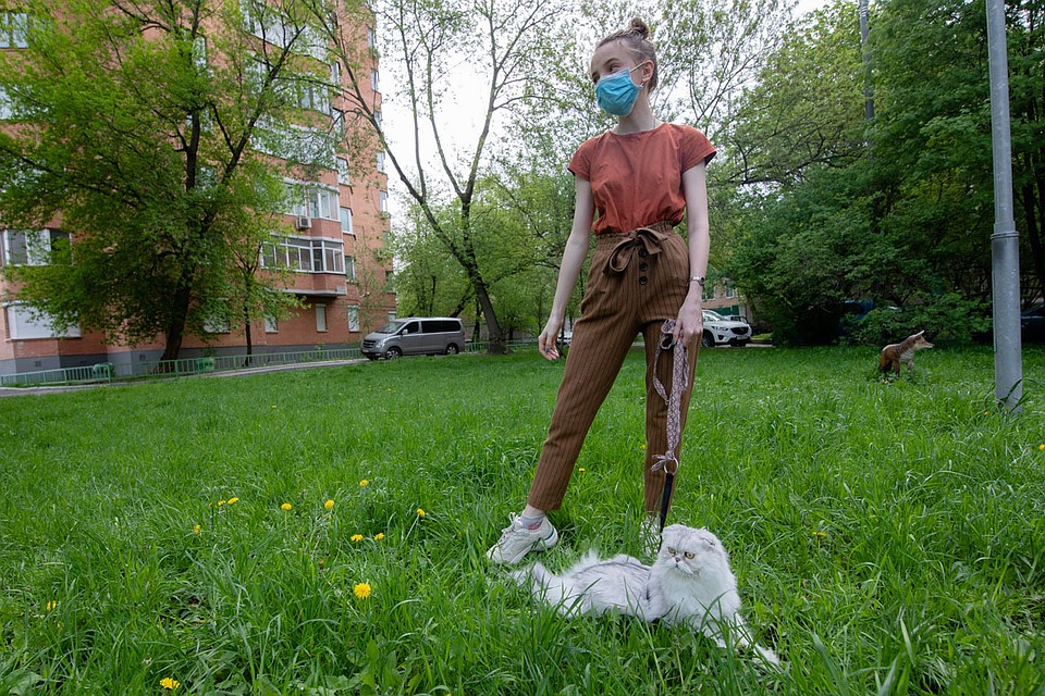 С понедельника, 1 июня, москвичи смогут выходить из дома для прогулок и занятий спортом.