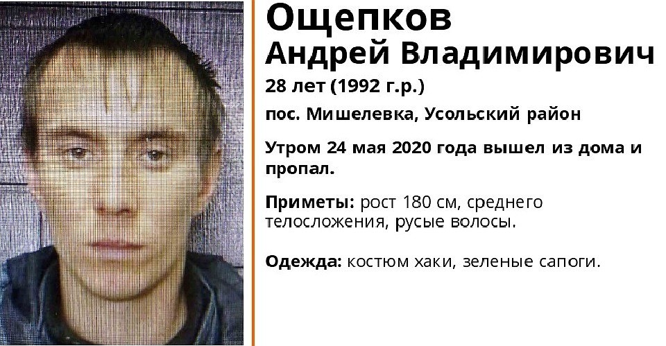 Пропавшего сборщика черемши ищут в Иркутской области
