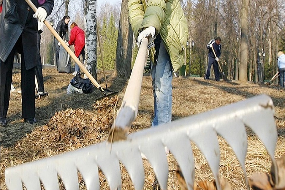 В Тазовском районе стартует череда экологических субботников
