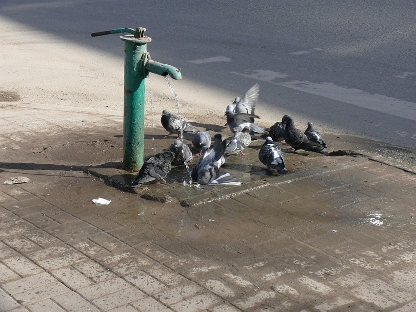 Когда водоснабжение будет восстановлено, пока не сообщается.