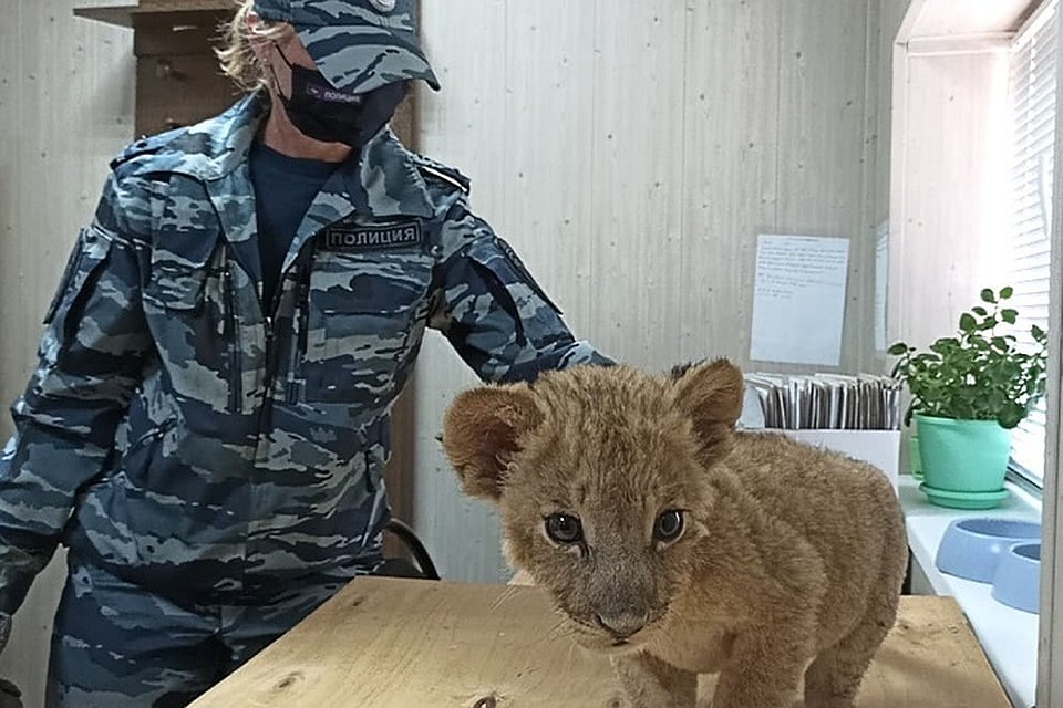 Животное отвезли в кинологический центр.