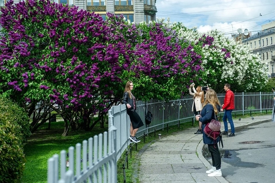 Погода на 6 июня 2020 года в Санкт-Петербурге обещает тепло с кратковременным дождиком.