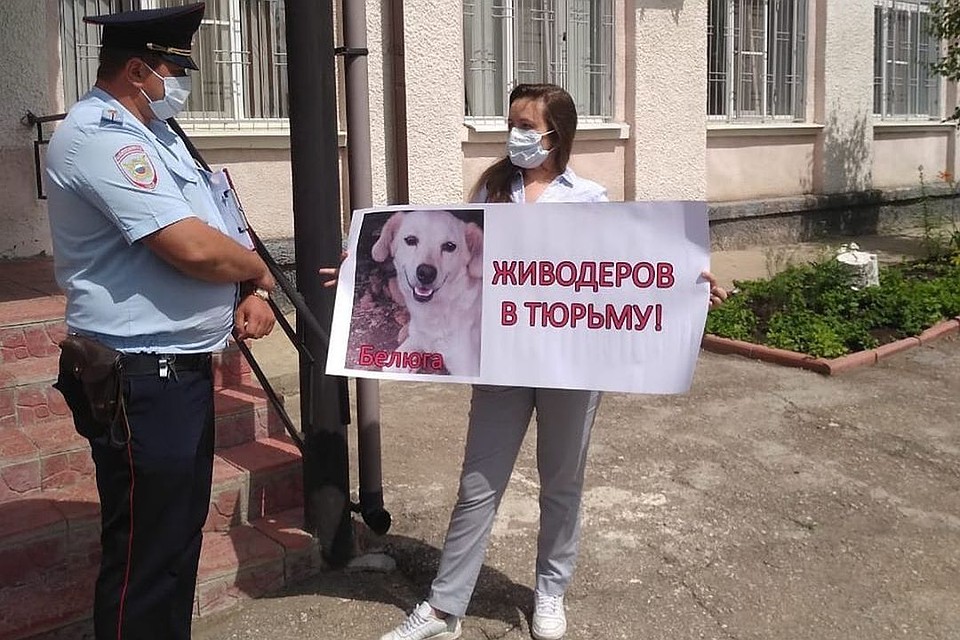 Зоозащитники требовали наказания для живодеров. Фото со страницы zoopravo в соцсети Instagram
