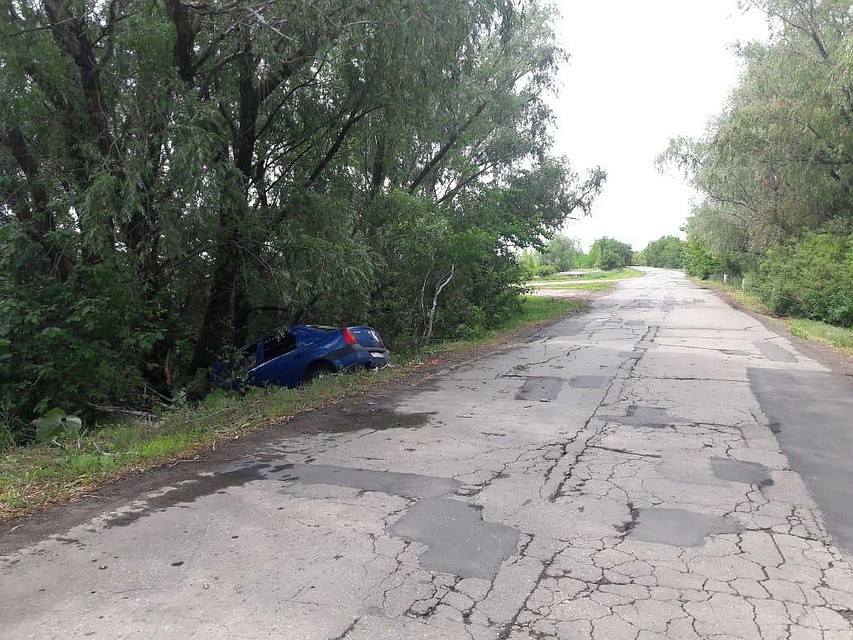 Иномарка врезалась в дерево. Фото ГИБДД по Саратовской области
