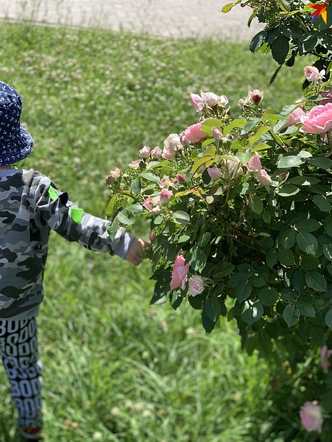 Семьи с детьми в Тверской области получают финансовую помощь от государства.