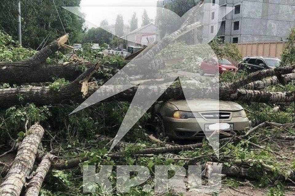 Дерево выбрало своей «жертвой» иномарку на Огородной