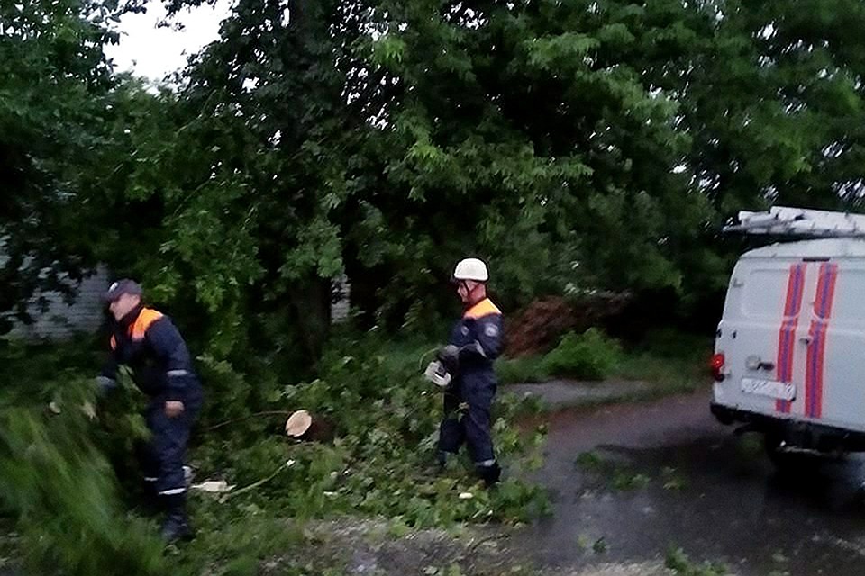 Фото: пресс-служба ГУ МЧС России по Брянской области.