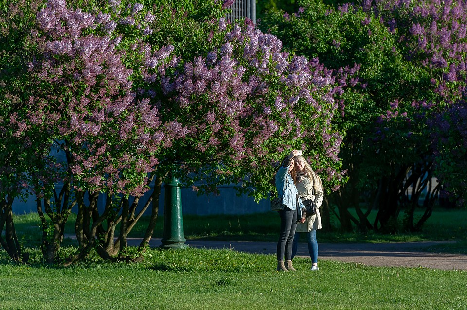 Парки, скверы и сады Петербурга закрыли из-за штормового предупреждения.
