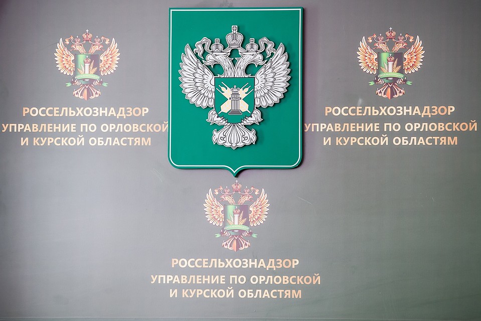 Орловских аграриев наказали за нарушение техрегламента по зерну