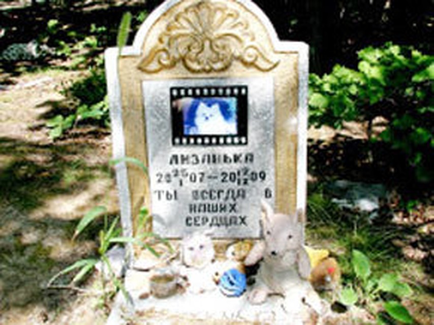 Муркам ставят гранитные памятники и пишут душевные эпитафии