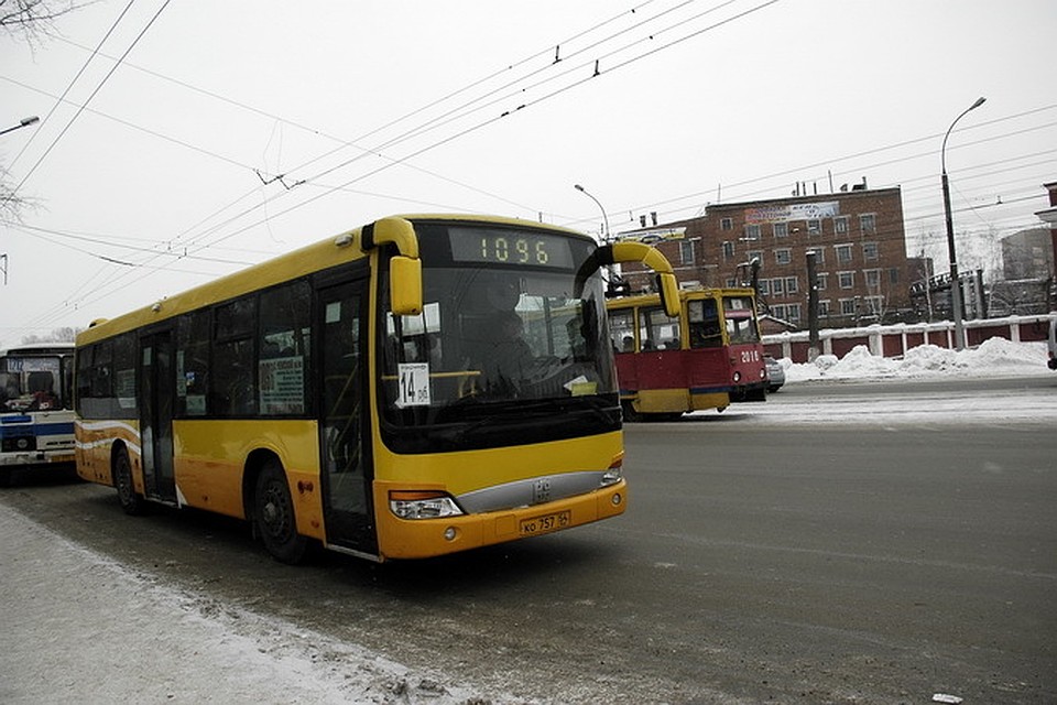 Автобус № 1096 станет частым гостем на улице Татьяны Снежиной.