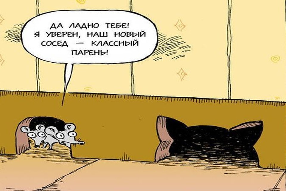 Новогодне праздники 2009