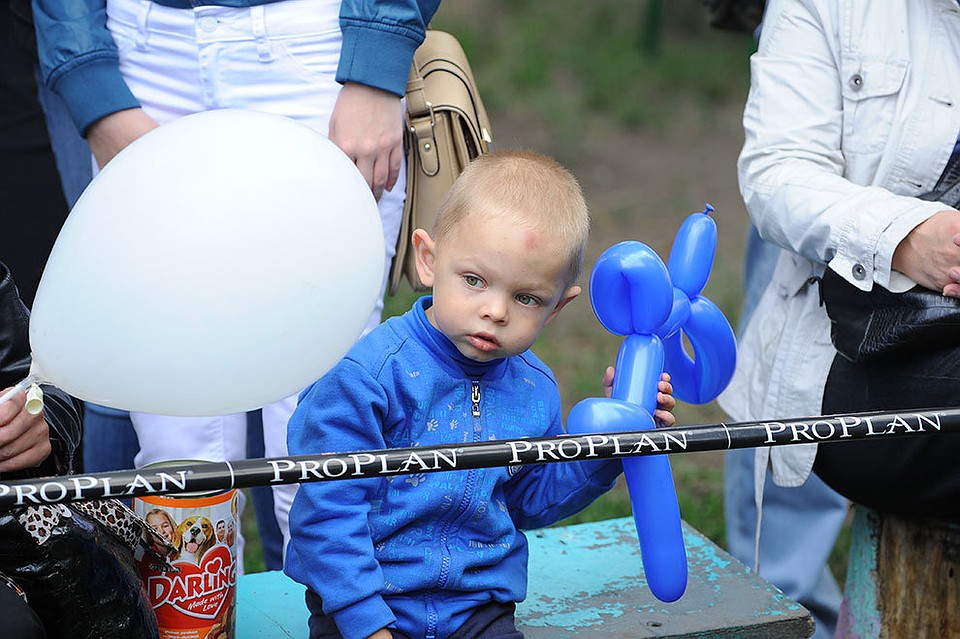Фото: Николай КРИВИЧ
