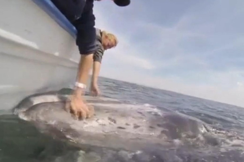 Кадр с видео