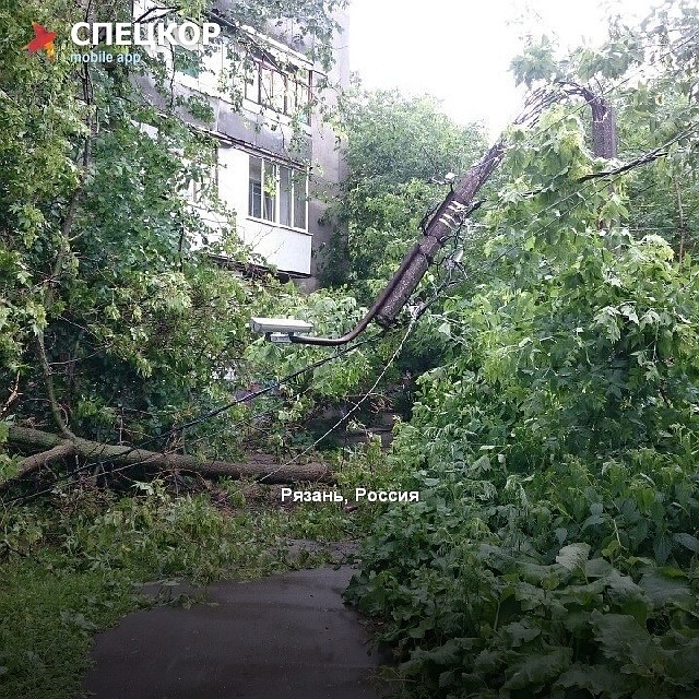 Фото: Мобильное приложение «Спецкор» от «Комсомольской правды»