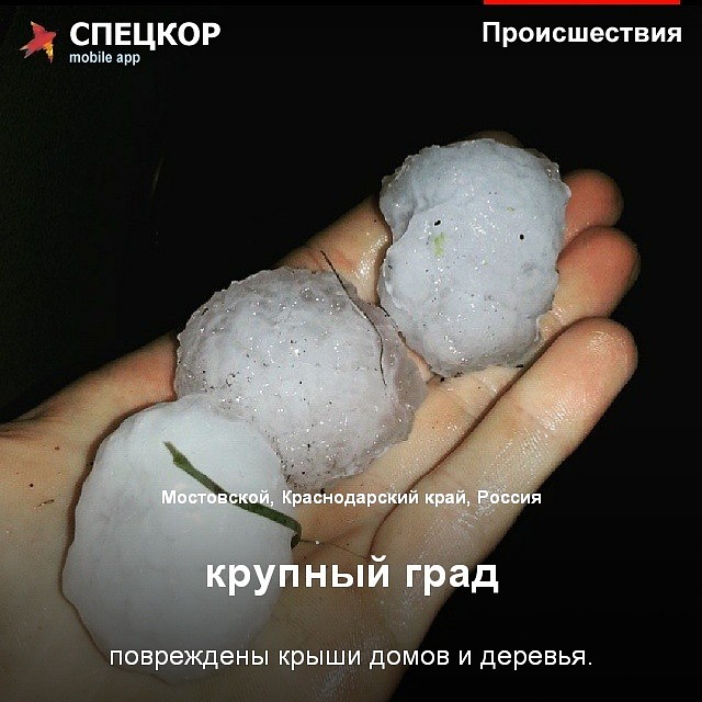 Фото: Мобильное приложение «Спецкор» от «Комсомольской правды»