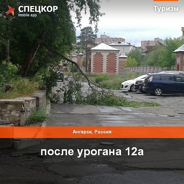 Фото: Мобильное приложение «Спецкор» от «Комсомольской правды»