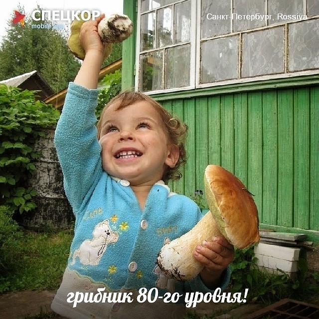 Фото: Мобильное приложение «Спецкор» от «Комсомольской правды»