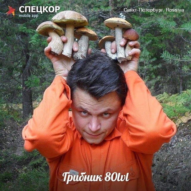 Фото: Мобильное приложение «Спецкор» от «Комсомольской правды»