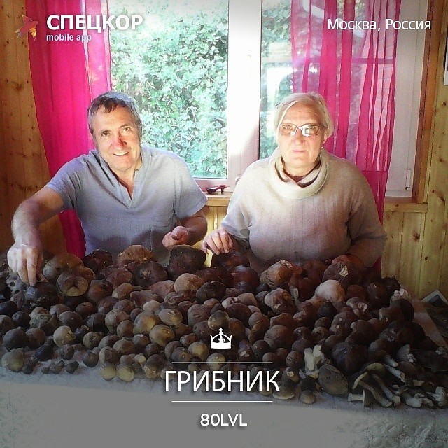 Фото: Мобильное приложение «Спецкор» от «Комсомольской правды»