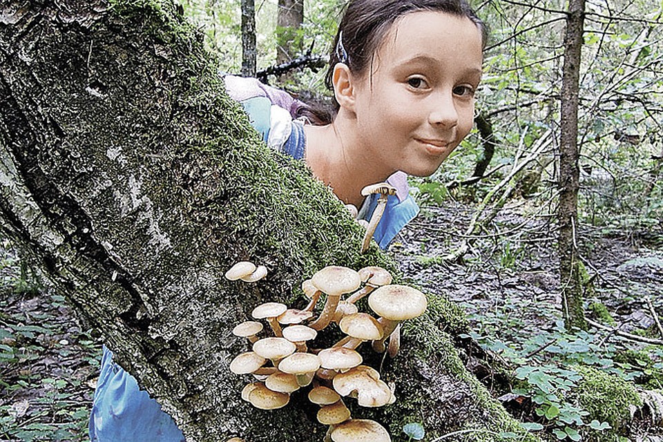 Технологии - это хорошо. Но и без гаджетов в лесу надо уметь ориентироваться.