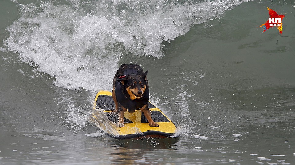 Фото: REUTERS