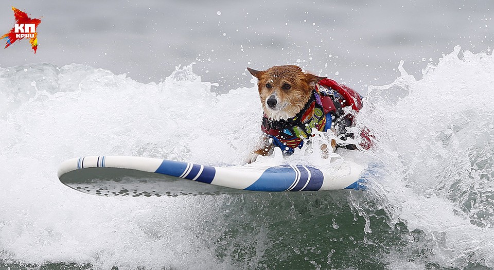 Фото: REUTERS