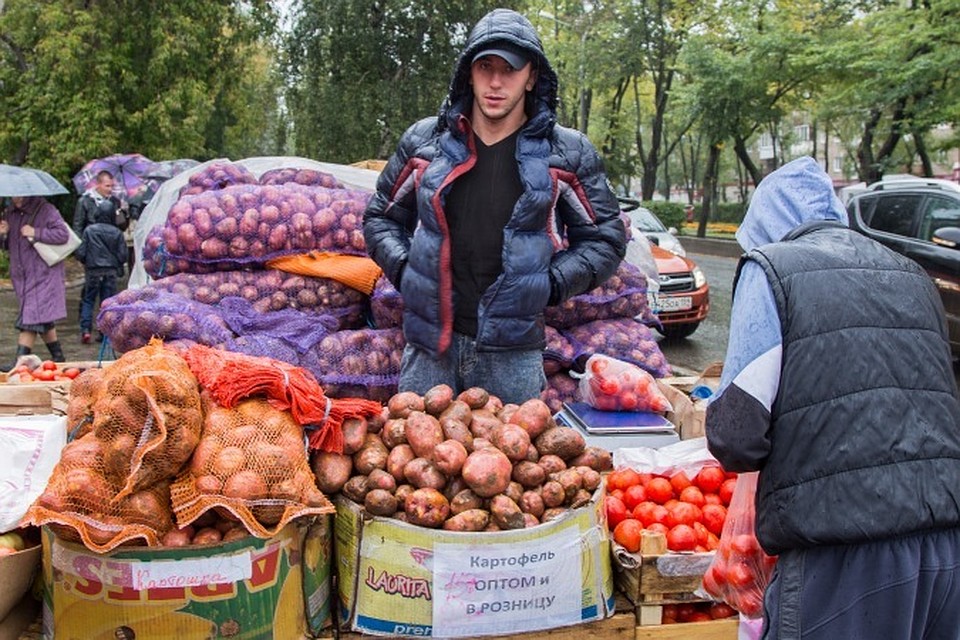 Дождливое лето урожай Дождливое лето урожай