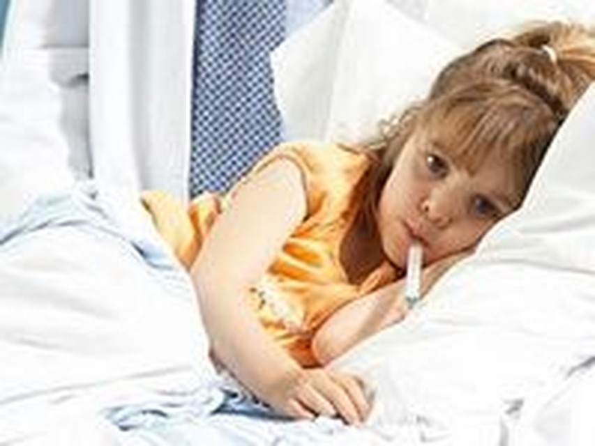 У собаки язвочка на коже33
