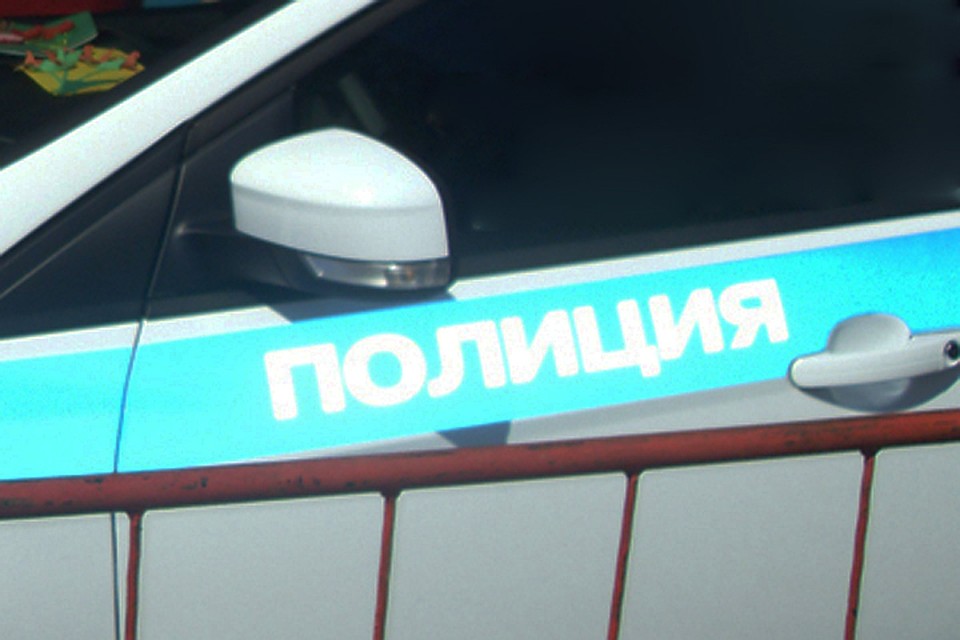 Житель смоленской деревни с вилами набросился на падчерицу.