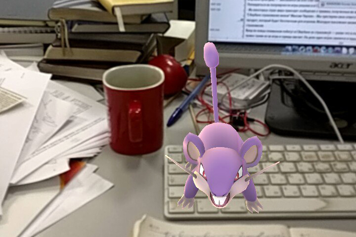  ,    ,     Pokemon Go          