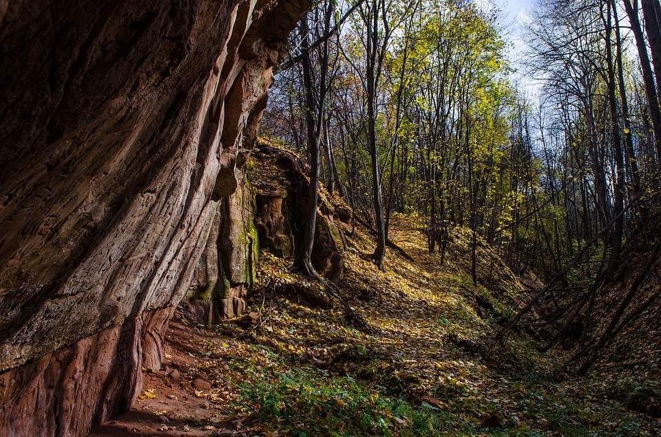Фотоохота в Кинель-Черкасском районе: так вот ты какой, олень благородный Фото: Андрей ЦЫГАНОВ