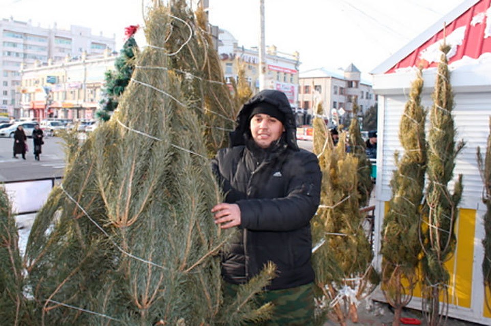 С 5 декабря в Приамурье начнется продажа елок.