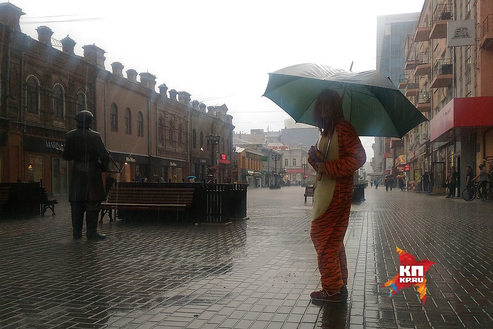 Тигры ливней не боятся Фото: Алексей БУЛАТОВ
