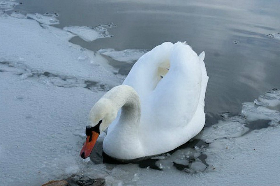 Фото: omskportal.ru