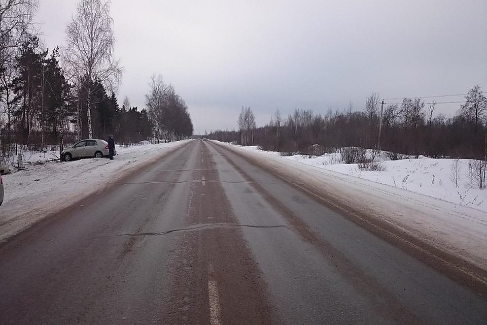 В Тверской области машина врезалась в дерево