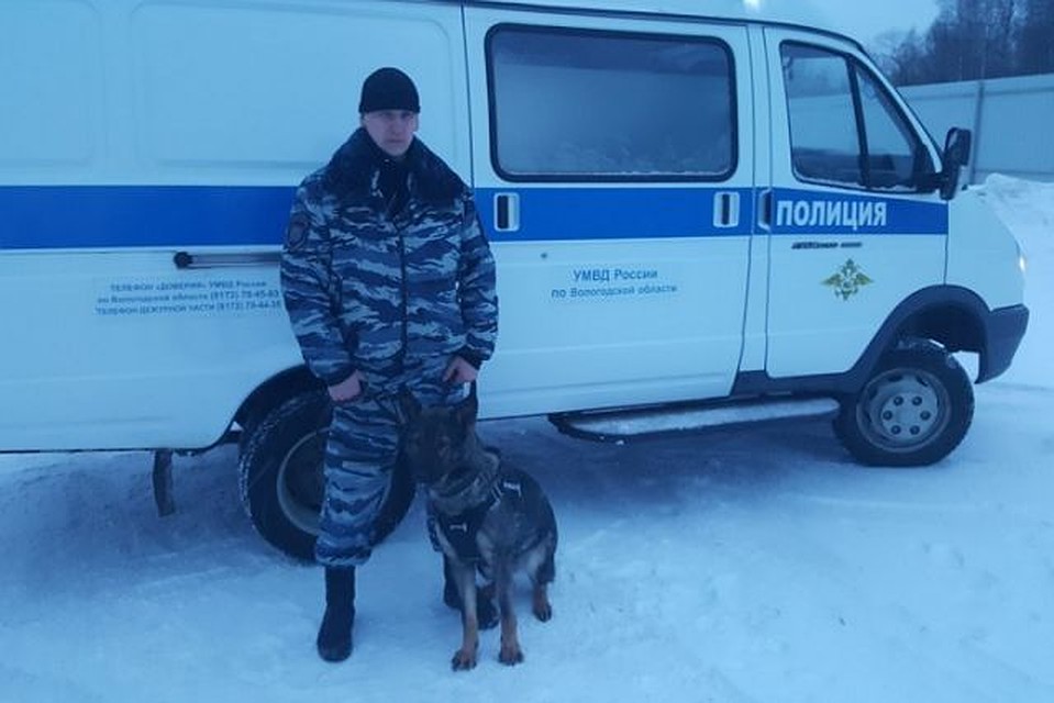 Ситуацию спасла служебная собака Зарри